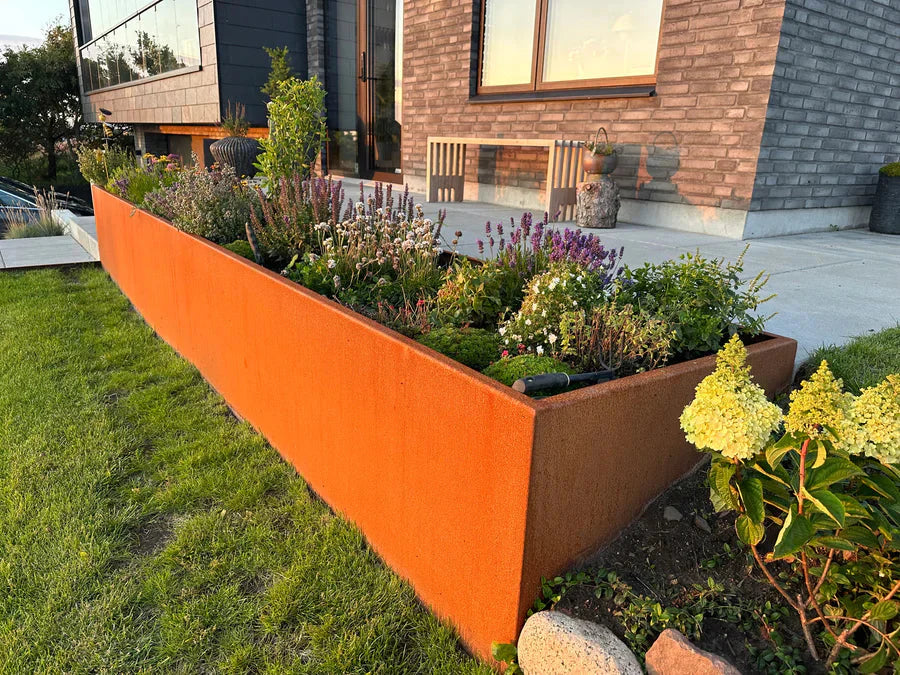 Leven creëren met bloemen die vlinders aantrekken | Staaltuin