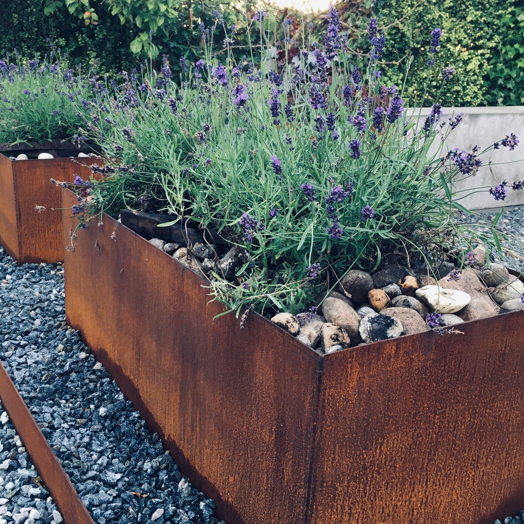 Plantenbak klassiek model, 50 cm breed x 50 cm hoog