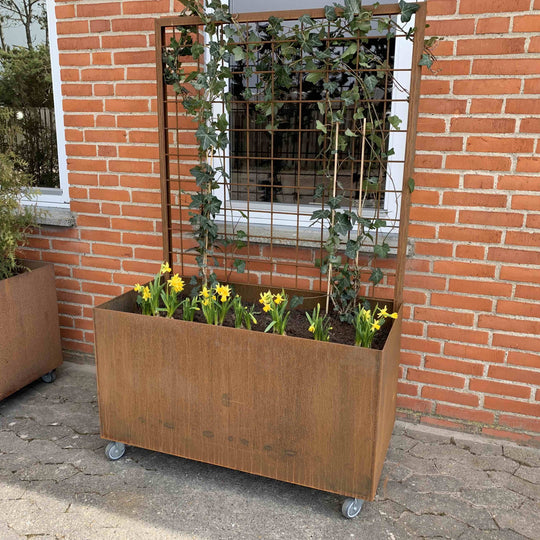 Plantenbak met trellis