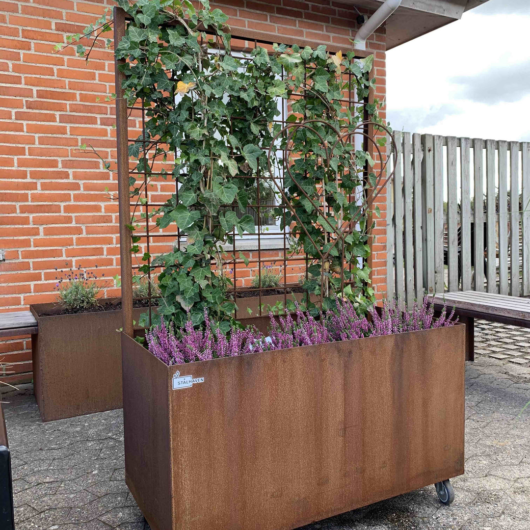 Plantenbak met trellis