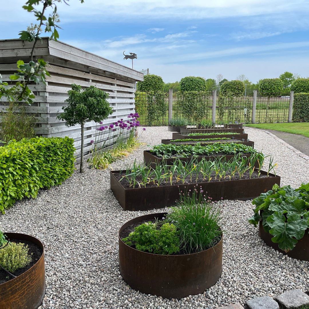 Ronde borderrand van cortenstaal - standaardmodel