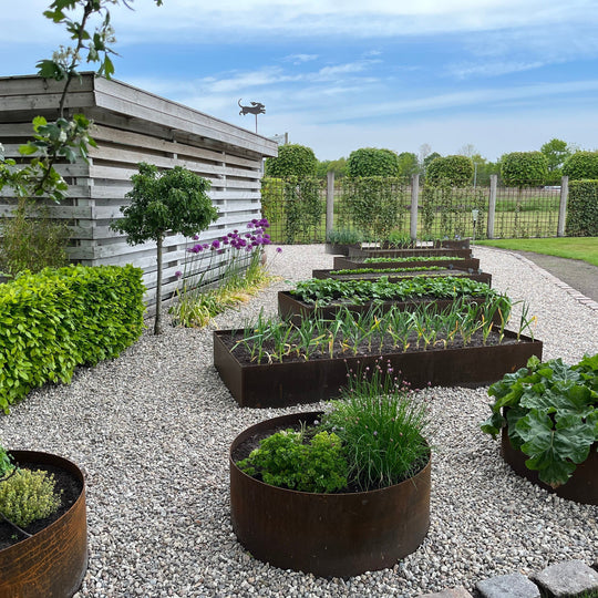 Maatwerk: Ronde borderrand van 3 mm cortenstaal