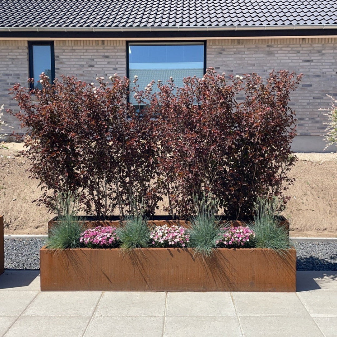 Plantenbak, vierkant