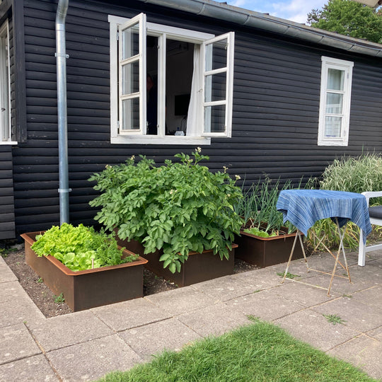 Plantenbak, laag model, 30 cm hoog