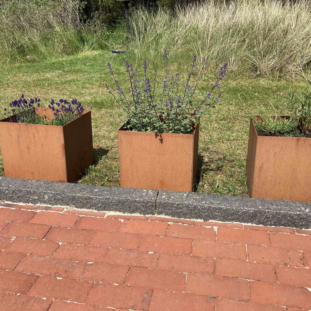 Plantenbak, vierkant