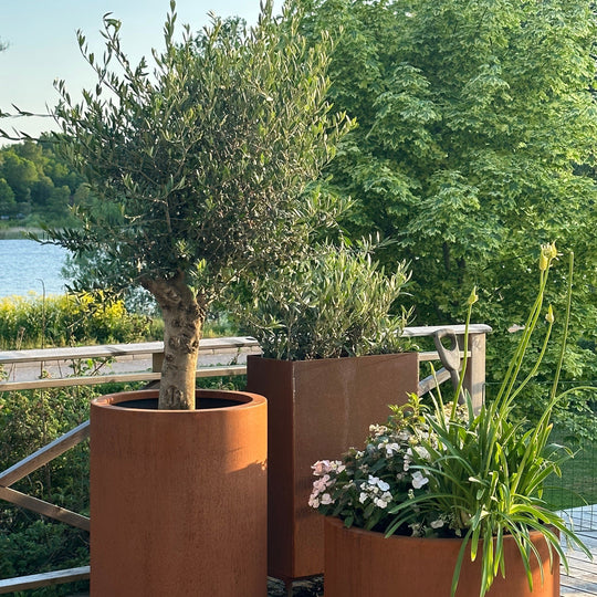 Maatwerk: Ronde plantenbak met bodem