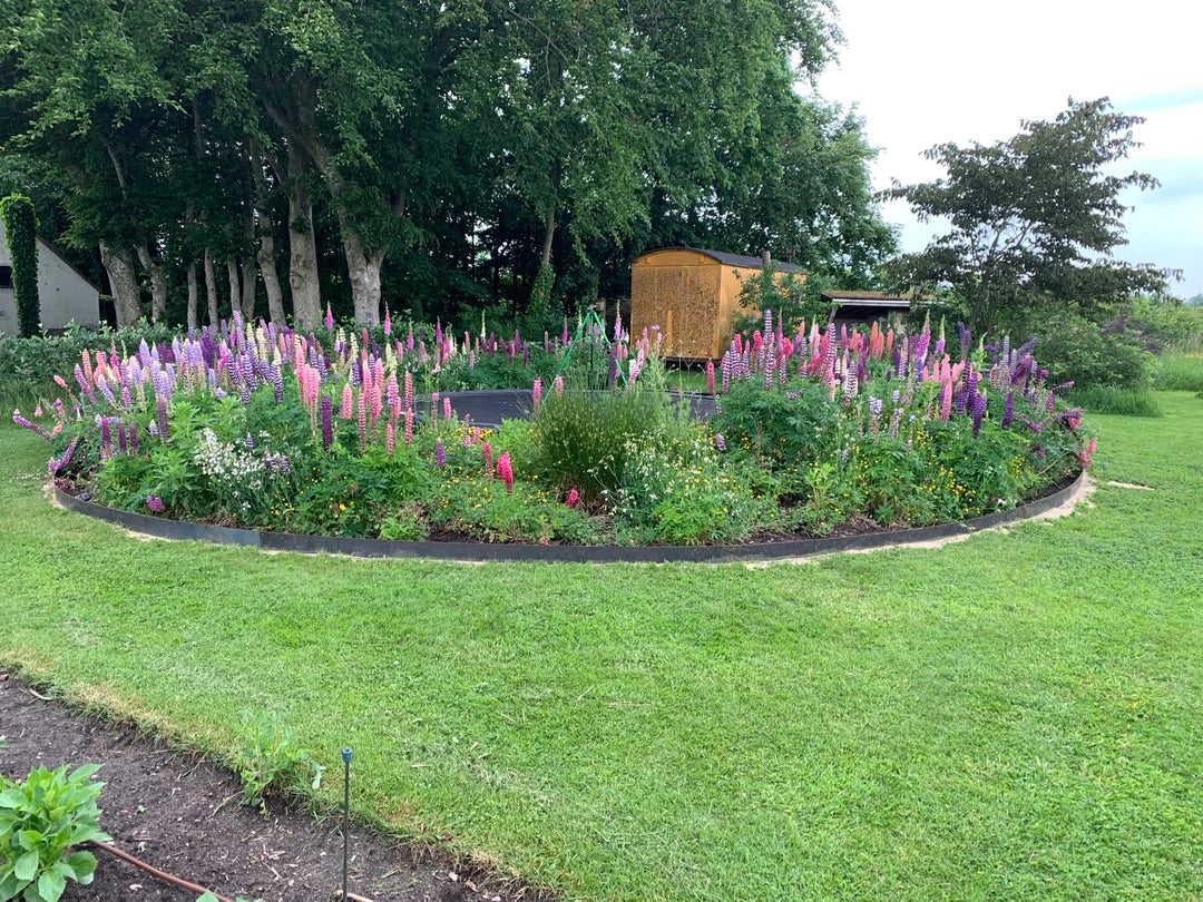 Ontwerp van een wilde tuin | Tips voor het aanleggen van een wilde tuin | Staaltuin