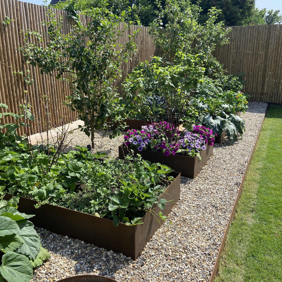 Wat kun je kweken in plantenbakken? Ontvang inspiratie voor zaden en bloemen