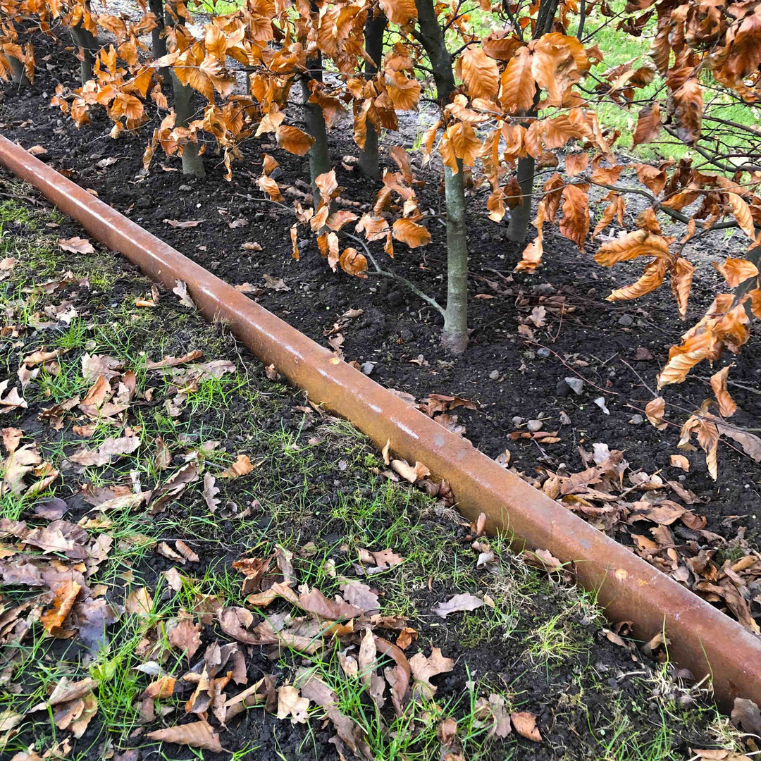 Borderrand met omgezette bovenrand van 3 mm cortenstaal