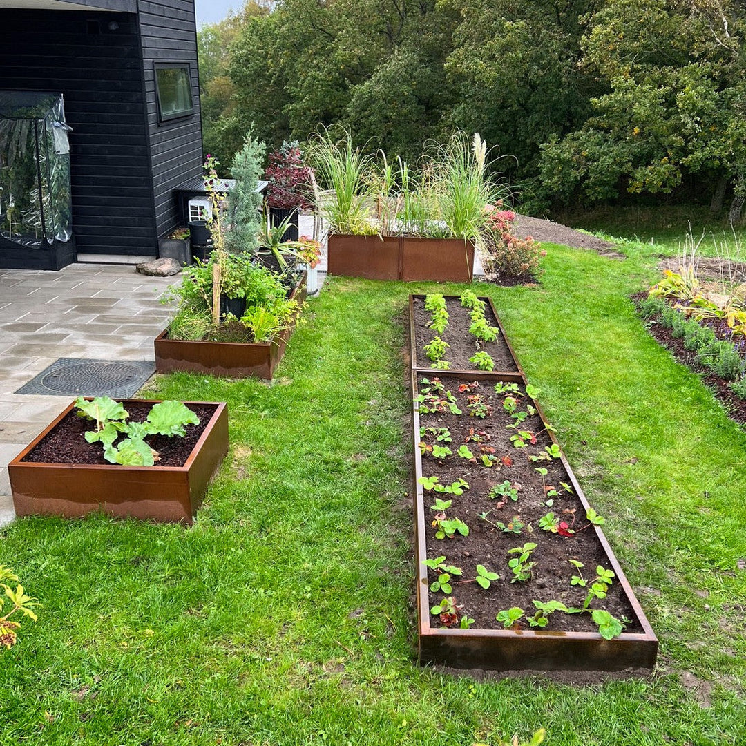 Plantenbak, laag model, 30 cm hoog