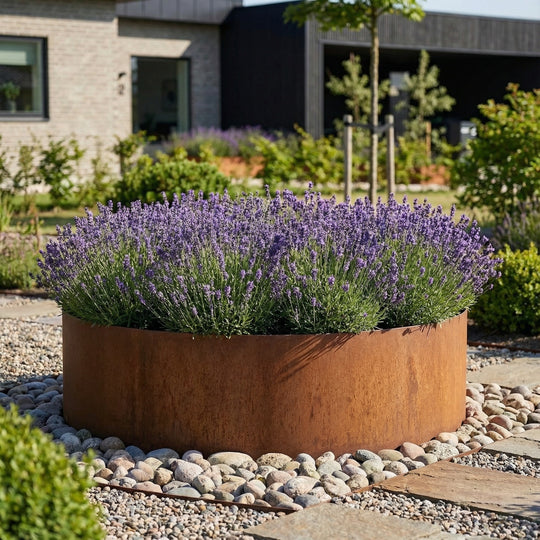 Ronde borderrand van cortenstaal - groot & hoog model