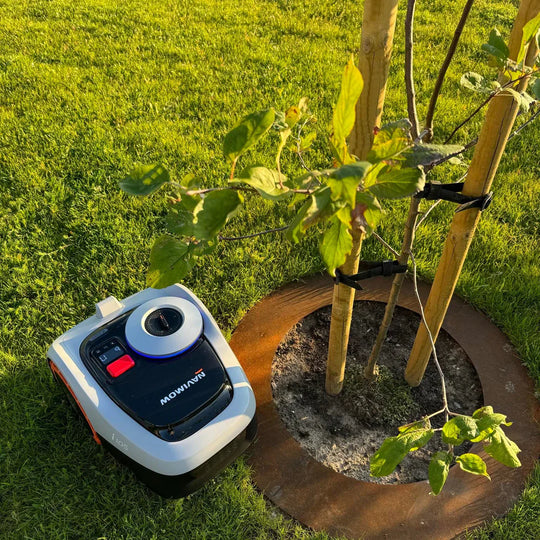 Maairand van cortenstaal