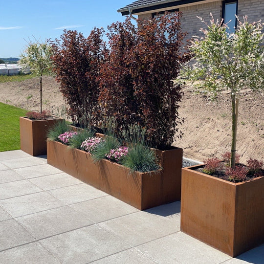 Plantenbak, vierkant