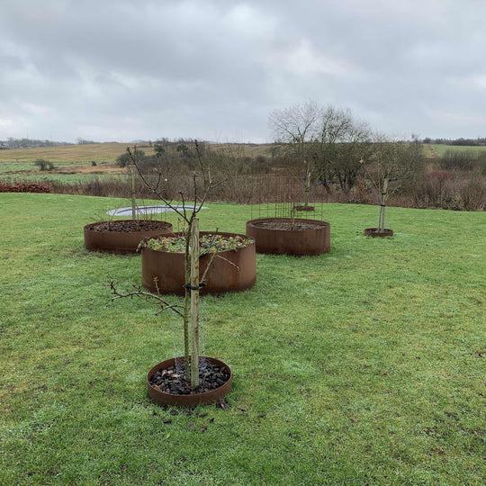 Ronde borderrand van cortenstaal - groot & hoog model